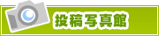 投稿写真館 | タウンガイド長岡